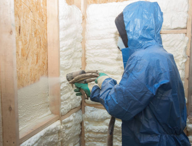 Types of Insulation We Offer in Friendswood, TX